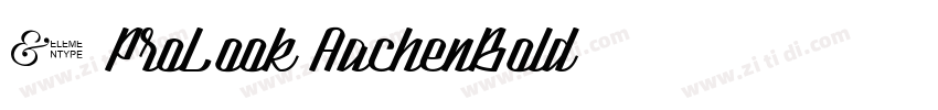 1 ProLook AachenBold字体转换